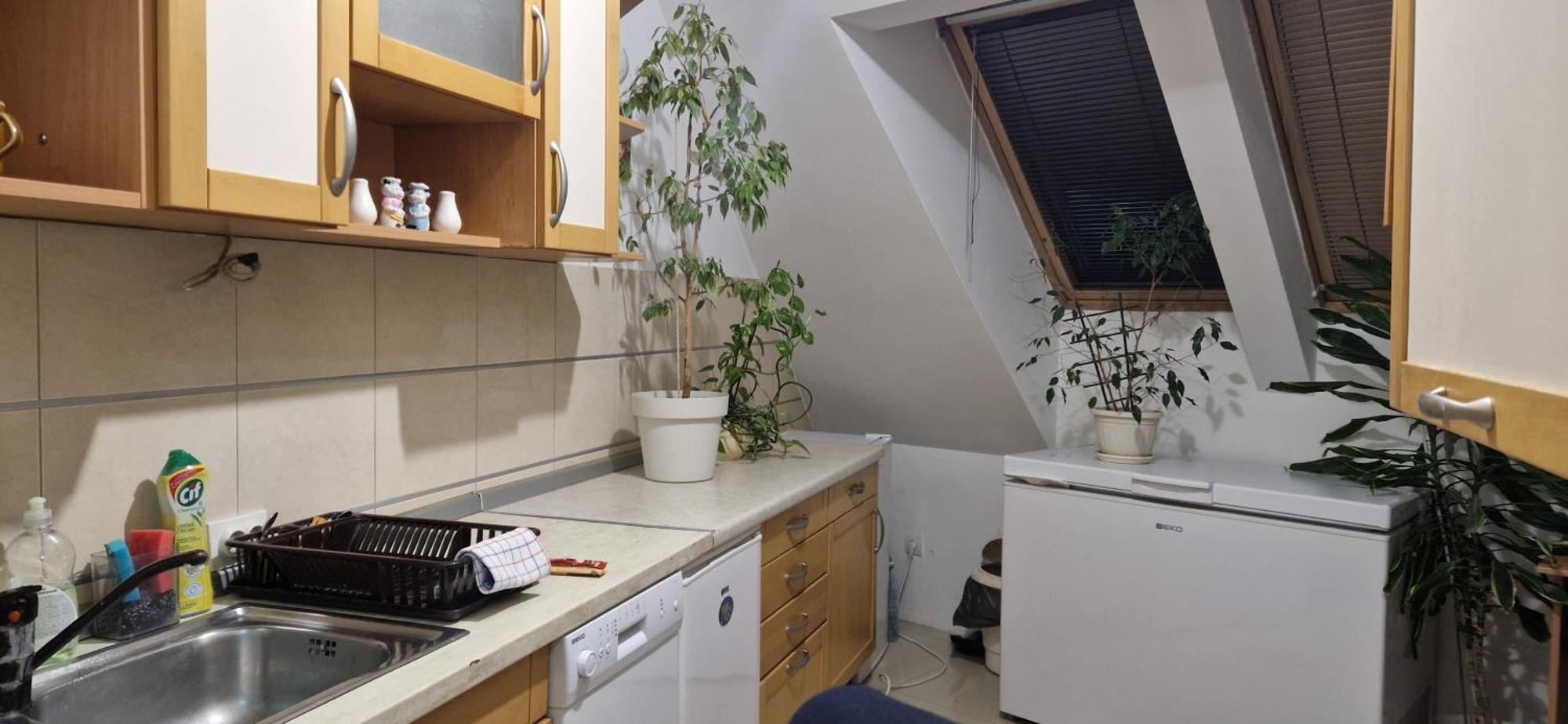 Apartman Natasa 3 Vrsac Exterior foto